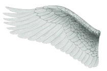 left wing